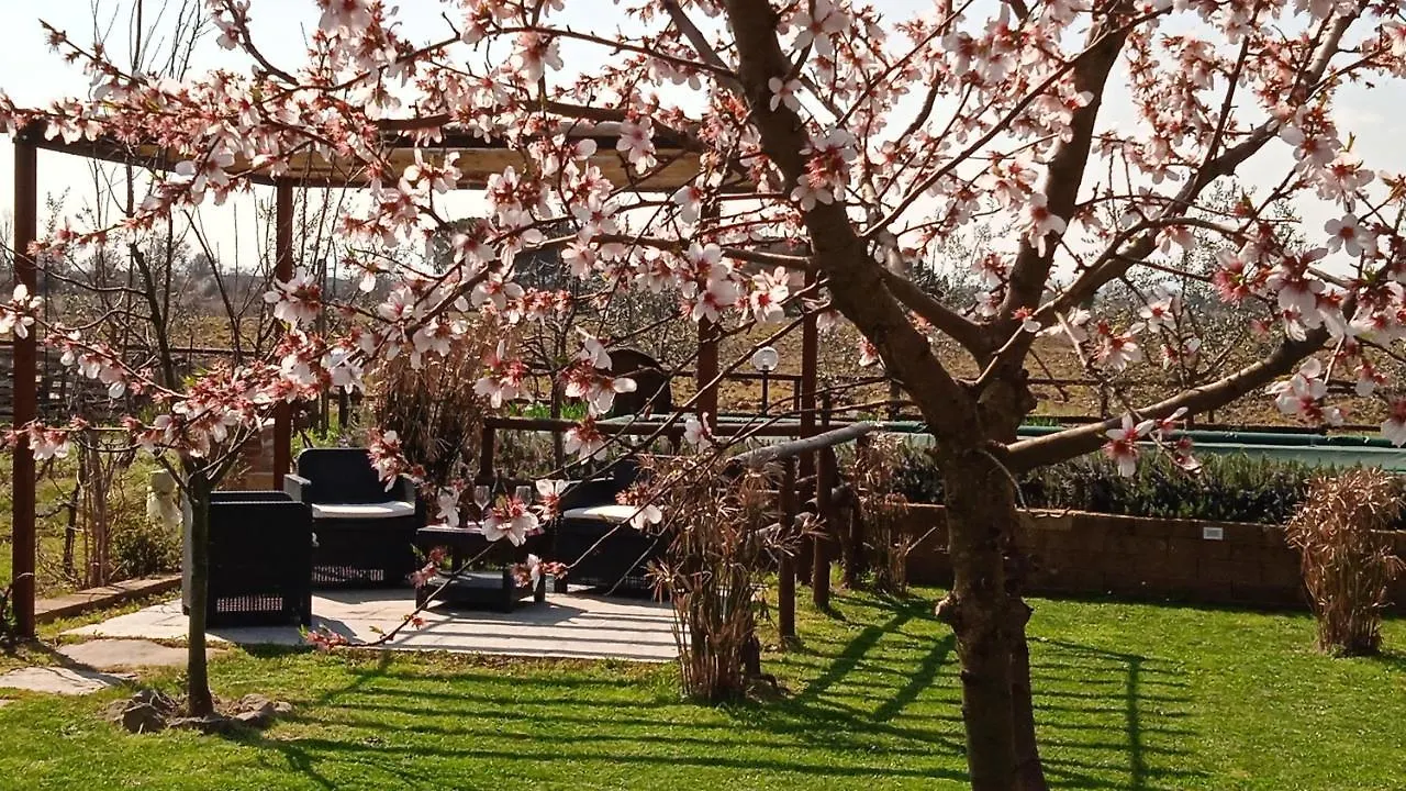 Podere Casorbica Cortona Country house